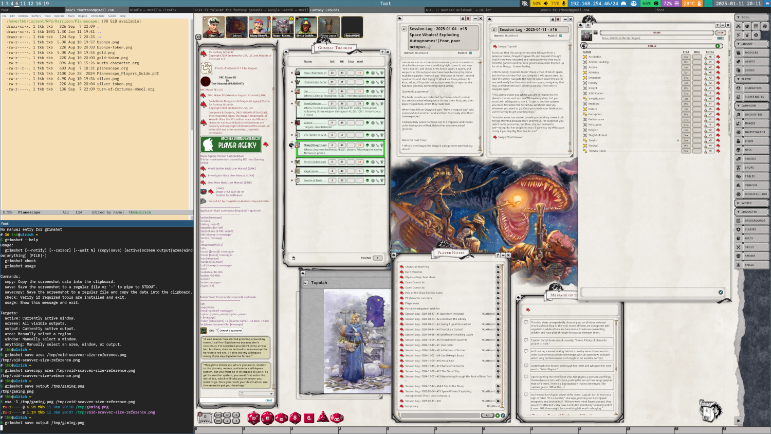 Typical setup in Fantasy Grounds D&D 5E